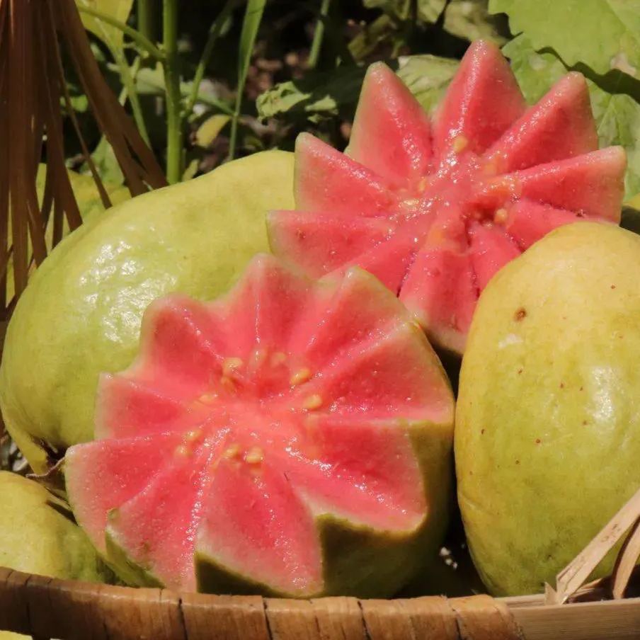 Strawberry Guava Seeds