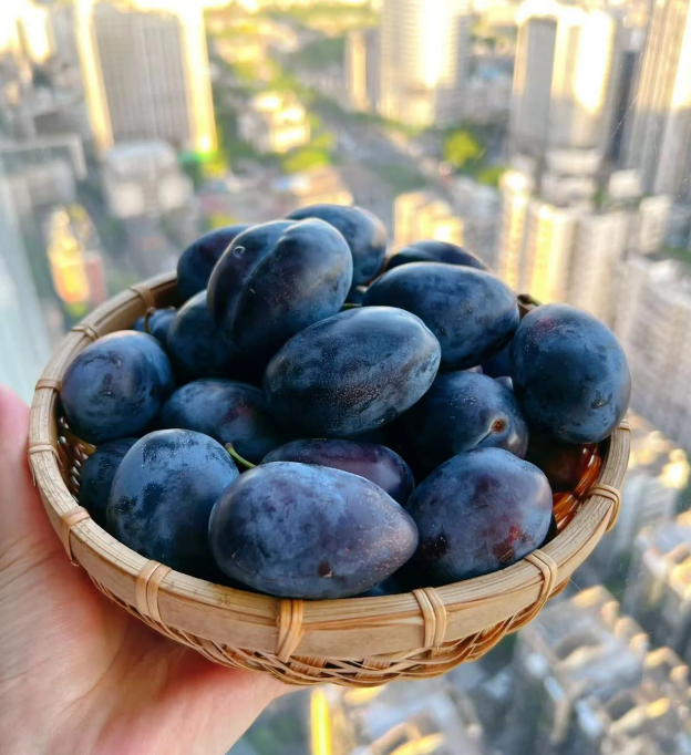 Damson Blue Plums Fruit Seeds