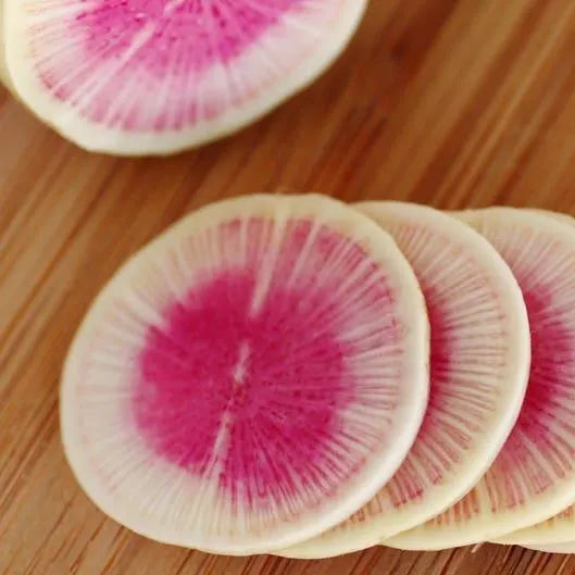 WATERMELON RADISH Beauty Heart Raphanus Sativus Pink White Vegetable Seeds