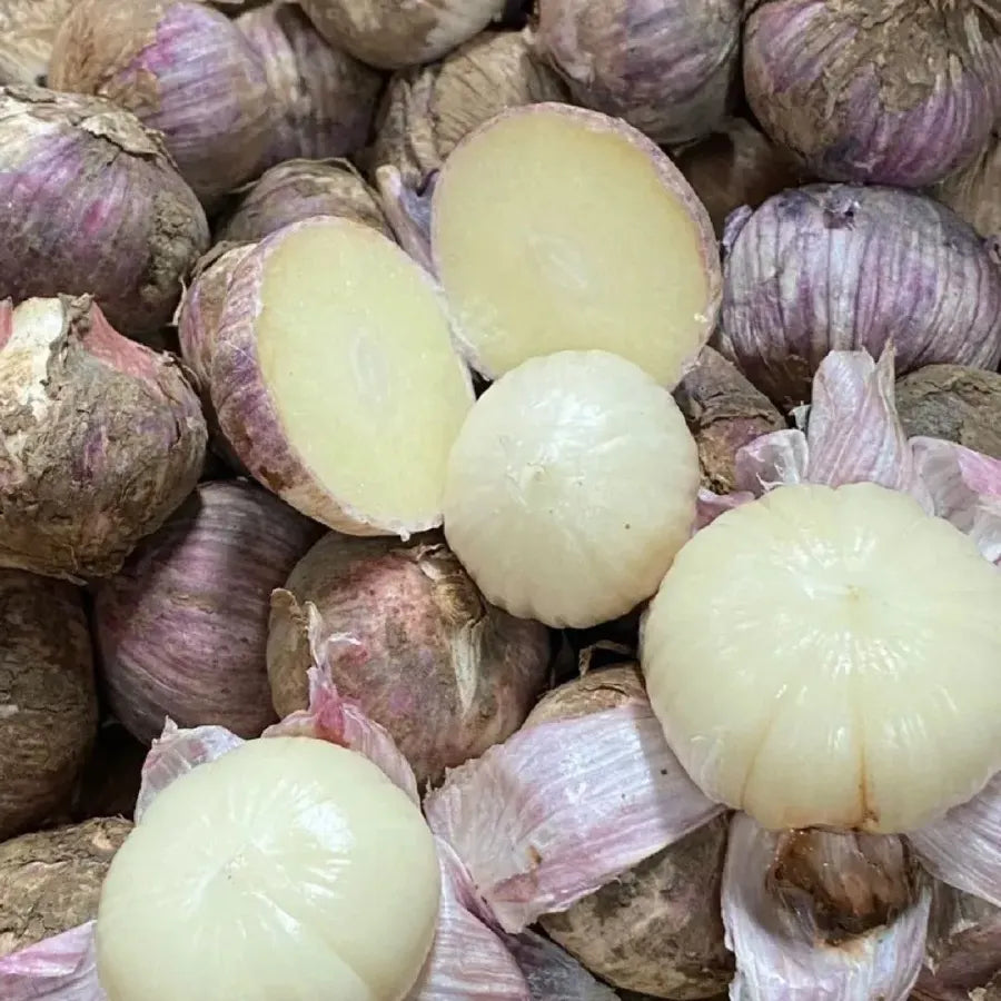 Solo Garlic: Healthy Onion without GMO Ingredients