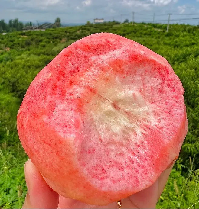 Peach Seeds