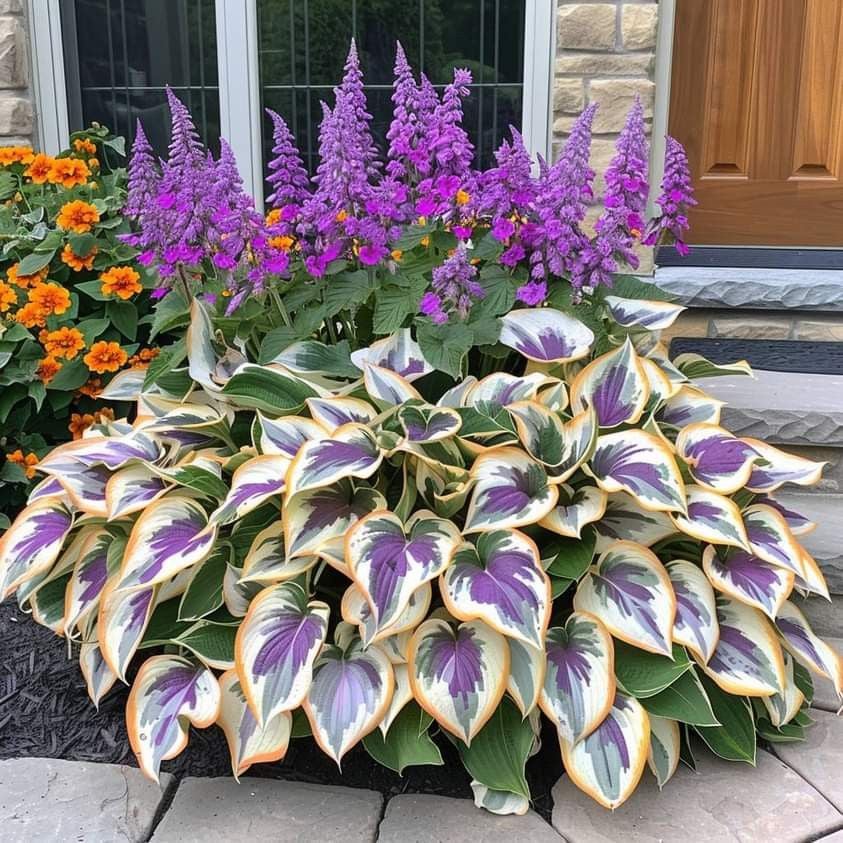 🌿 Rare Hosta Seeds — Premium. Shade-Loving Perennials with Lush Foliage🌈