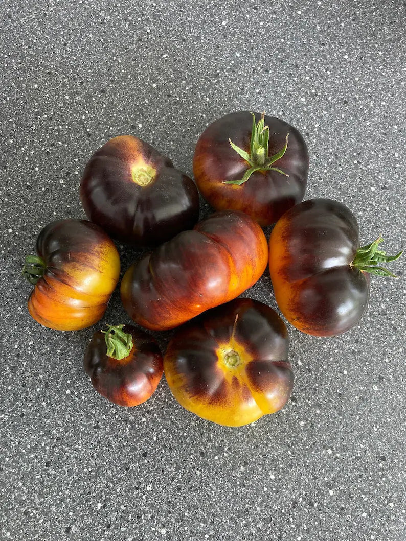 Lucid Gem Tomato Seeds Organic. Heirloom Tomatoes