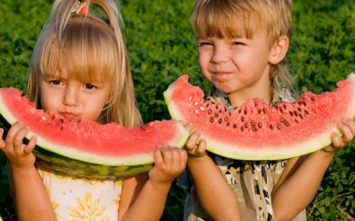 🔥⏰Last Day 70%OFF - 🍉Lazy Man's Watermelon Seeds
