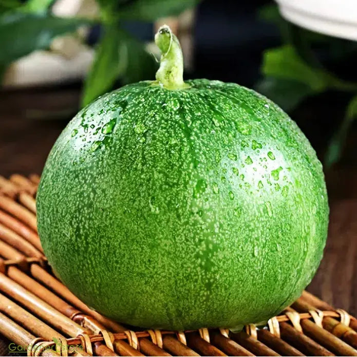 Emerald Melon Seeds