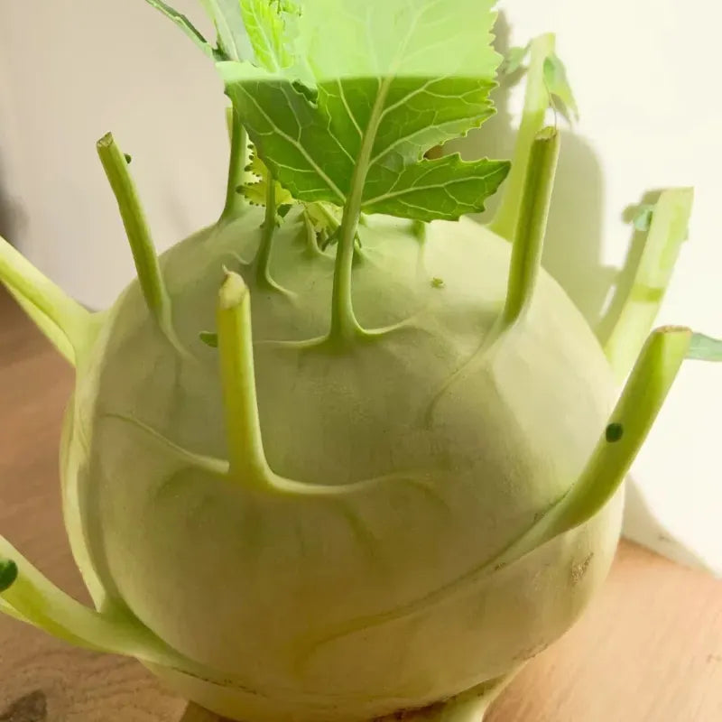 Purple Kohlrabi Seeds (Organic)