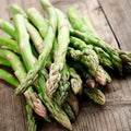 FOUR SEASONS ASPARAGUS MARY WASHINGTON SEEDS