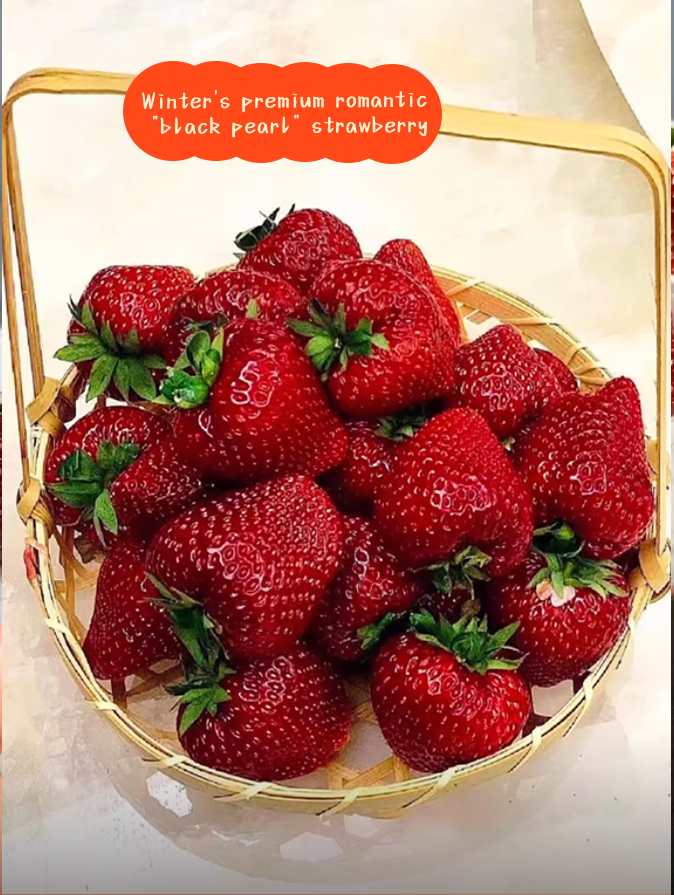 🍓Black Pearl Strawberry Seeds