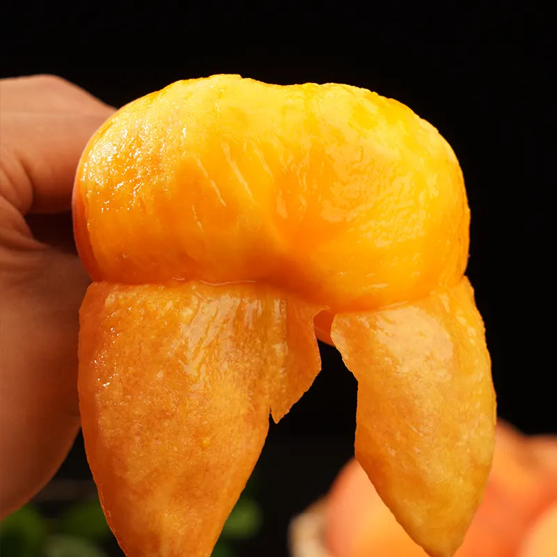 🌟Golden Legend - Golden Peach Seeds