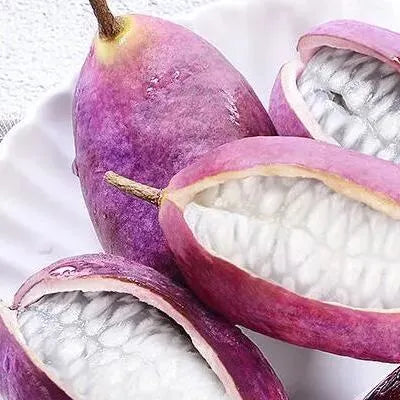 August Melon Fruit Seeds
