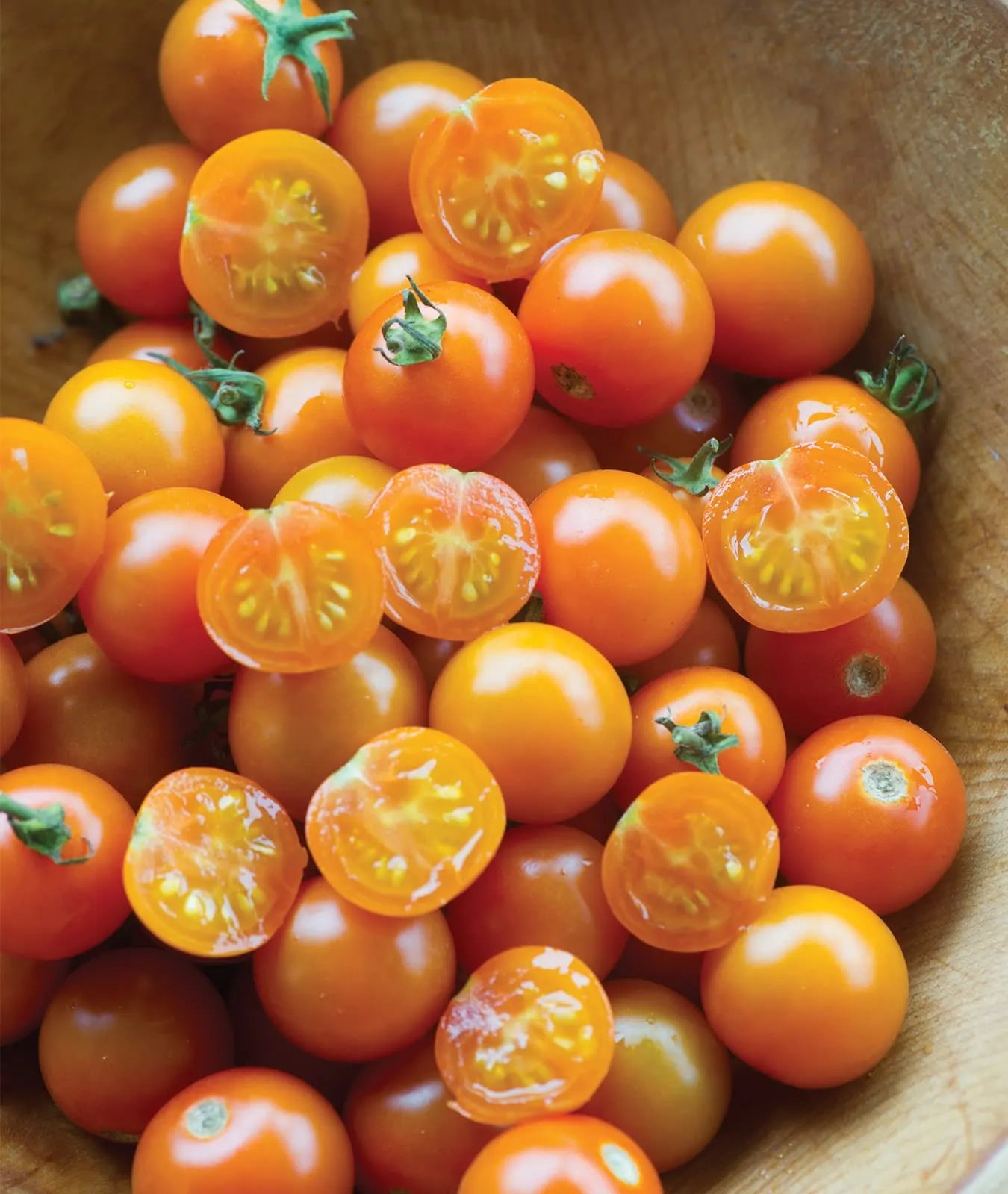 Sungold Tomato.Cherry Tomato Seeds