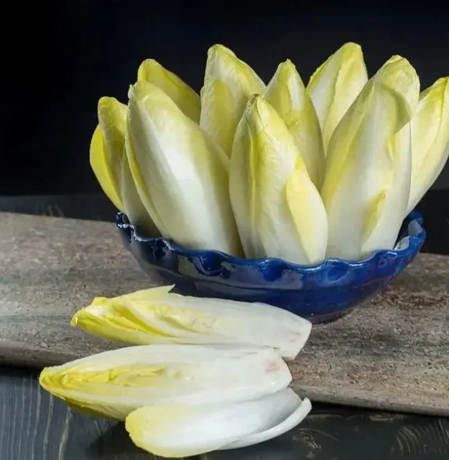 Golden Magnolia Seeds—The Prince of European Vegetables