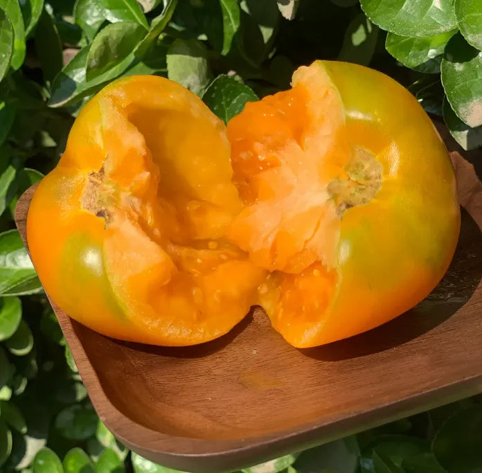 Yellow Persimmon Seeds