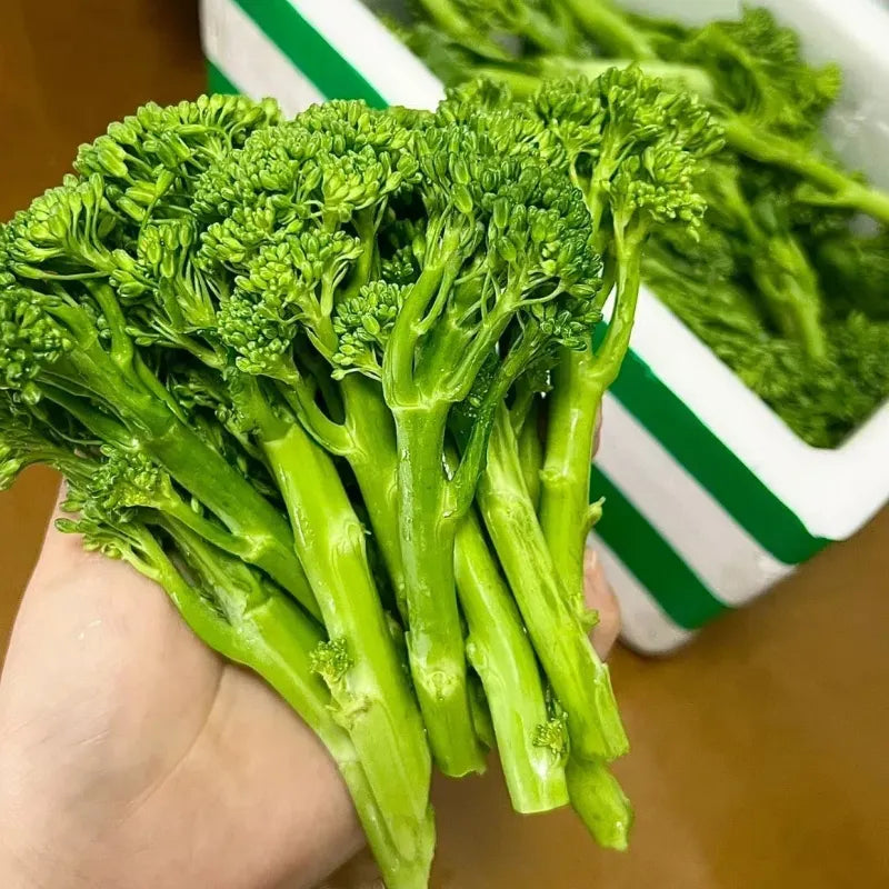 🥦Rare Broccolini Seeds