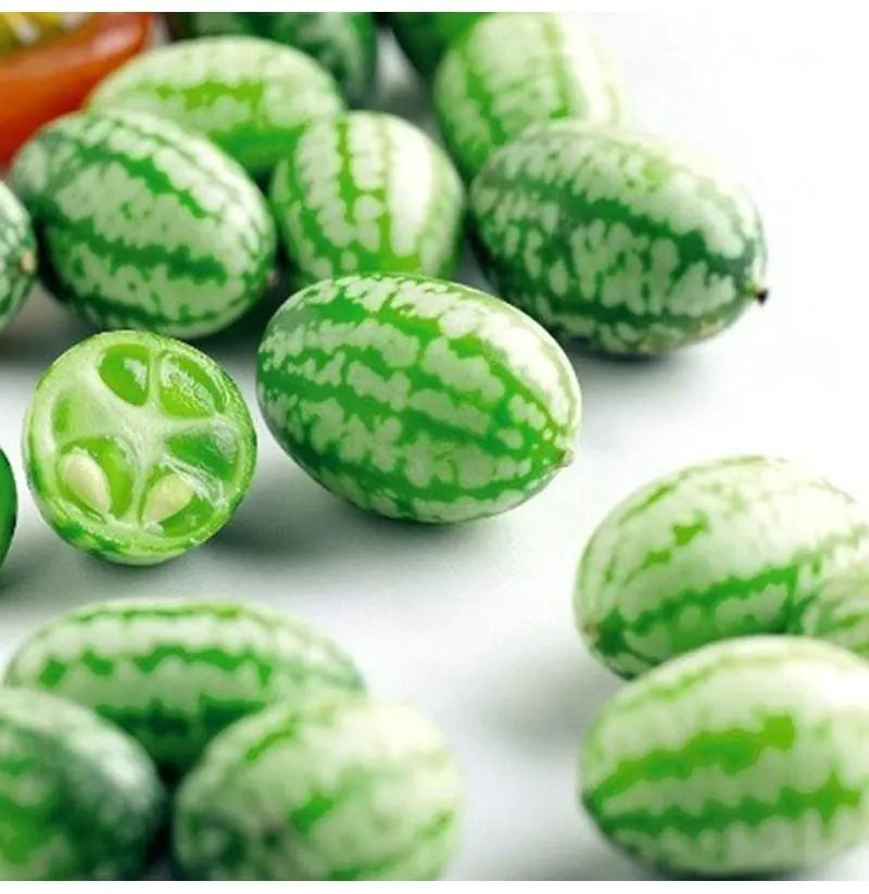 🍉Rare Organic Thumb Watermelon Seeds