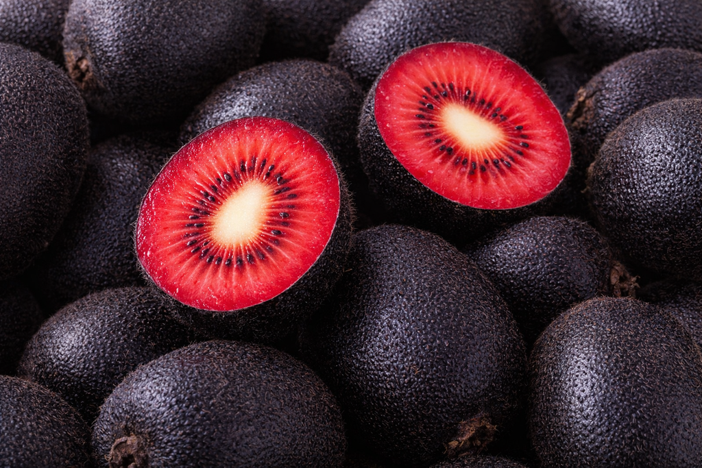 🥝Black Diamond Ruby Kiwi Seeds – Sweet. Nutrient-Rich & Easy to Grow at Home