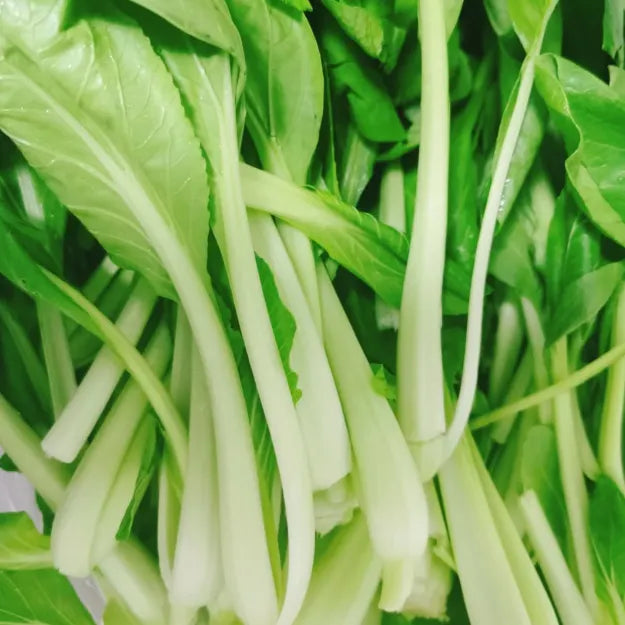 🥬All Year Round Chicken Feather Vegetable Seeds