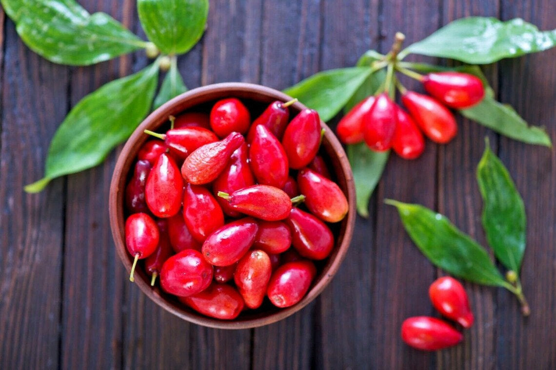 RARE Miracle fruit seeds. Miracle berry