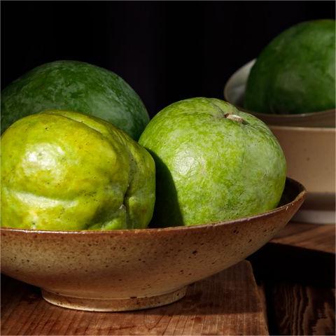 🍨 Ice Cream Fruit – White Persimmon 🍃Seeds