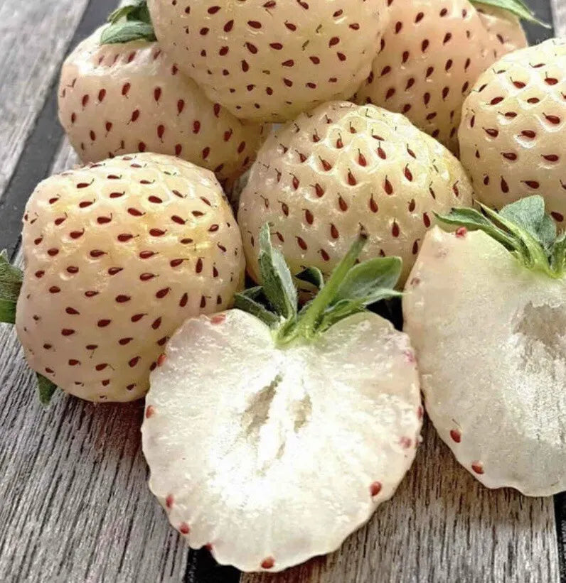 🍓White Milk Strawberry Seeds(🪴Buy 3 Get 1 Free)