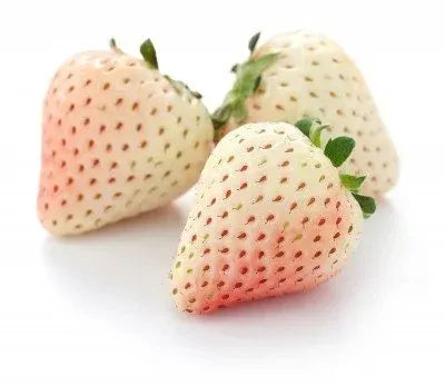 🍓White Milk Strawberry Seeds(🪴Buy 3 Get 1 Free)