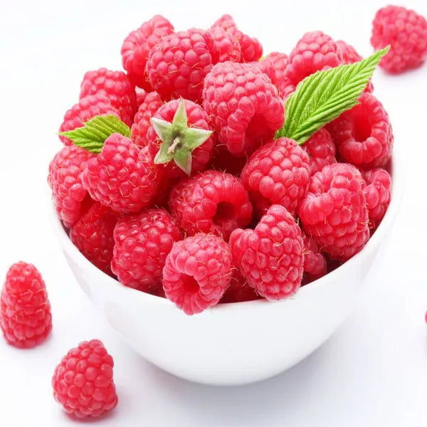 🍓Everbearing Raspberry Organic Natural Seeds