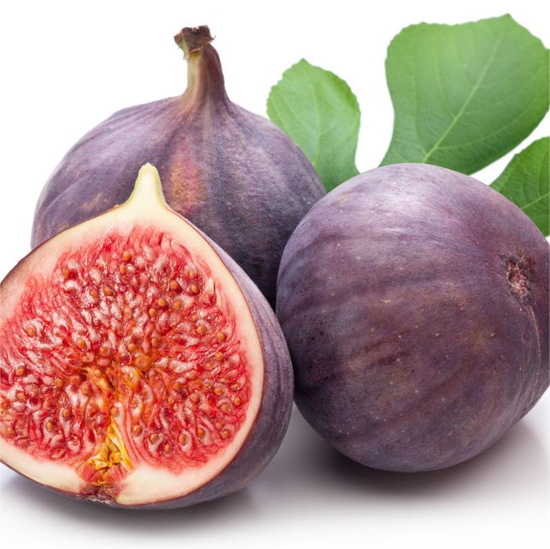 SweetHarvest Fig Seeds