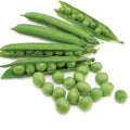 Pea Karina Organic