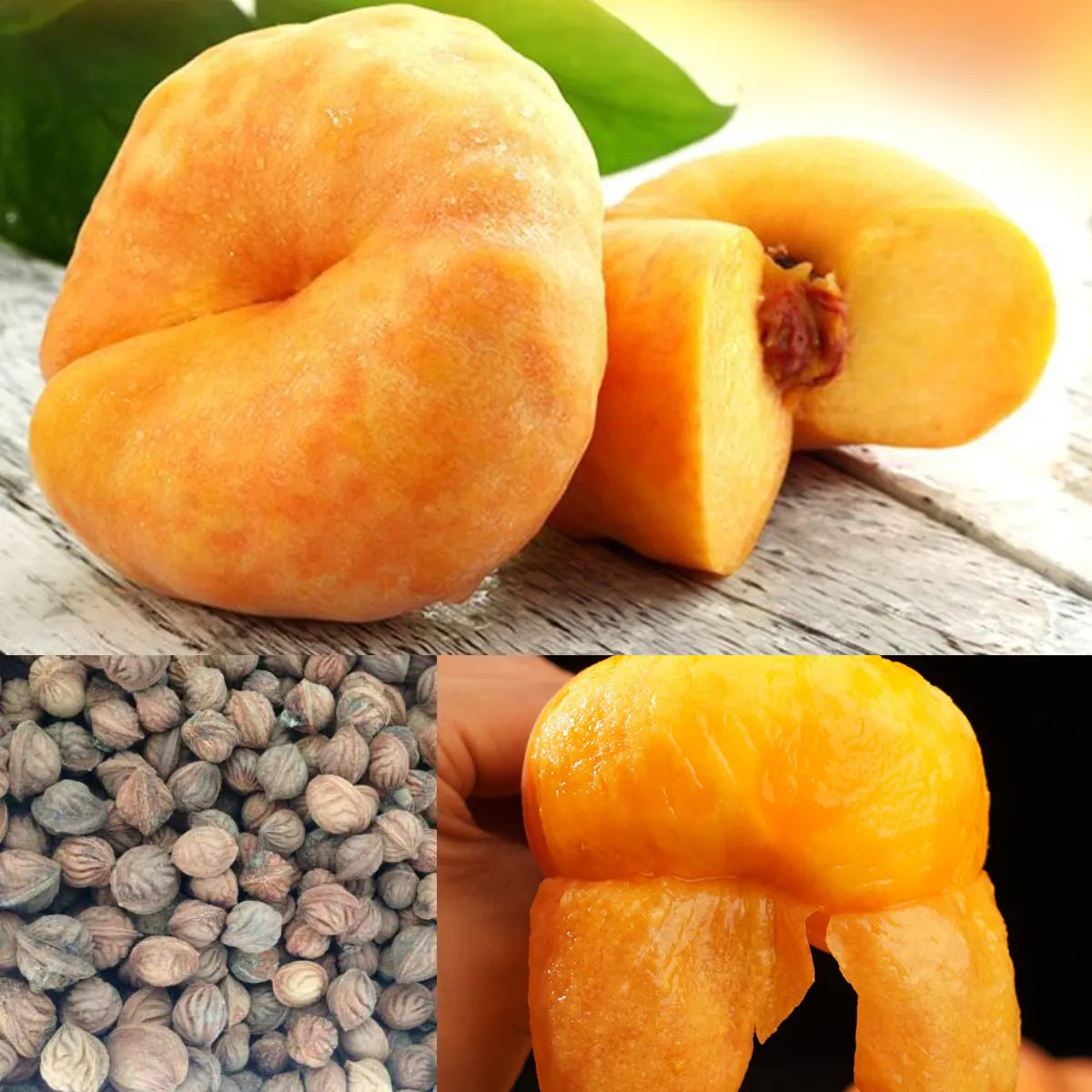 🌟Golden Legend - Golden Peach Seeds