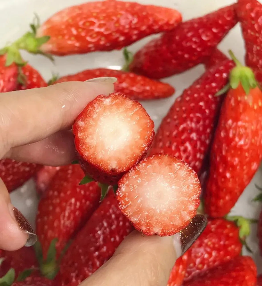 🍓White Milk Strawberry Seeds(🪴Buy 3 Get 1 Free)