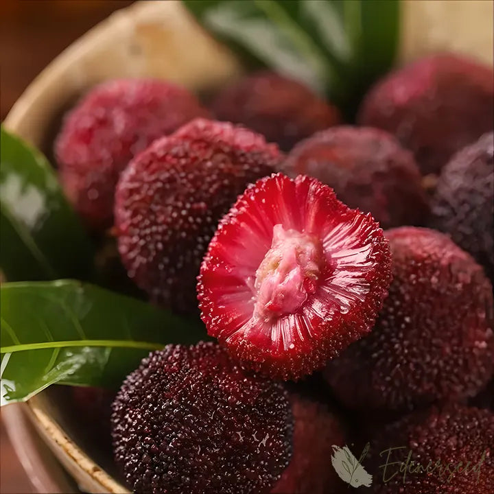 Himalayan Crystal White Bayberry Seeds