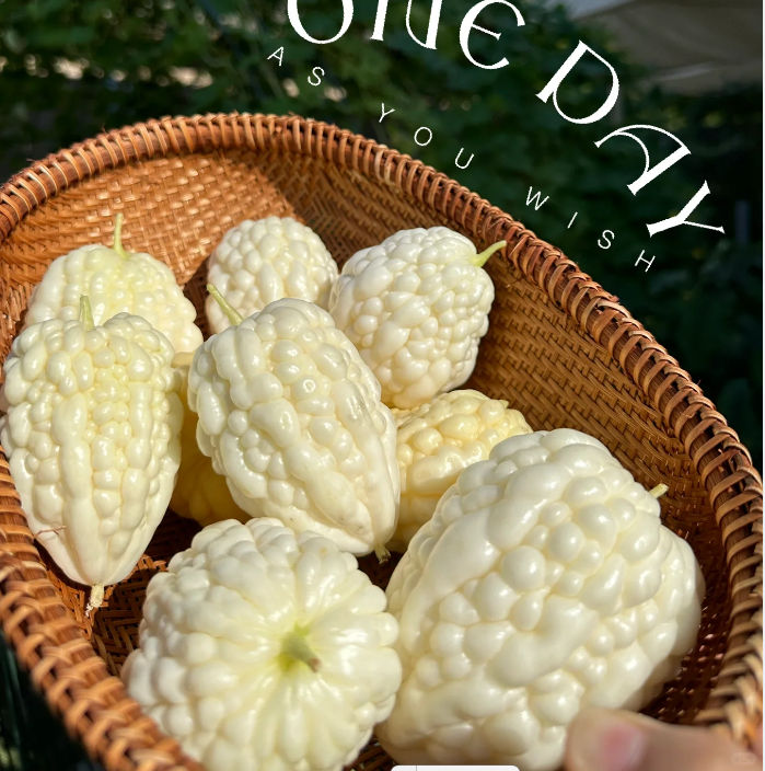 Apple Balsam Pear Seeds