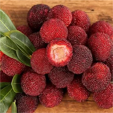 Guava Seeds--The Beauty Of Winter❄️