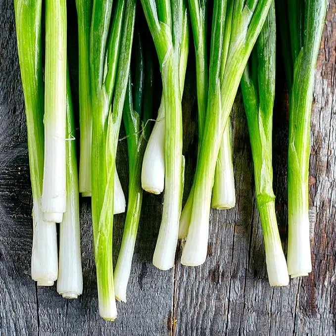 Scallion Onions Seeds