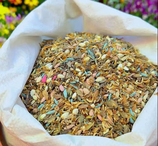 🔥Last day clearance💝Premium Cold-Hardy Mixed Perennial Flower Seeds - Selected 40+ Fall Planting Mix