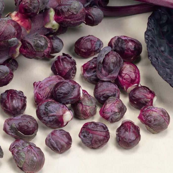 Brussels Sprouts Redarling F1