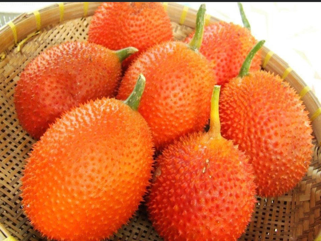 Gac fruit seeds. Gac Melon Vine Momordica Cochinchinensis seeds