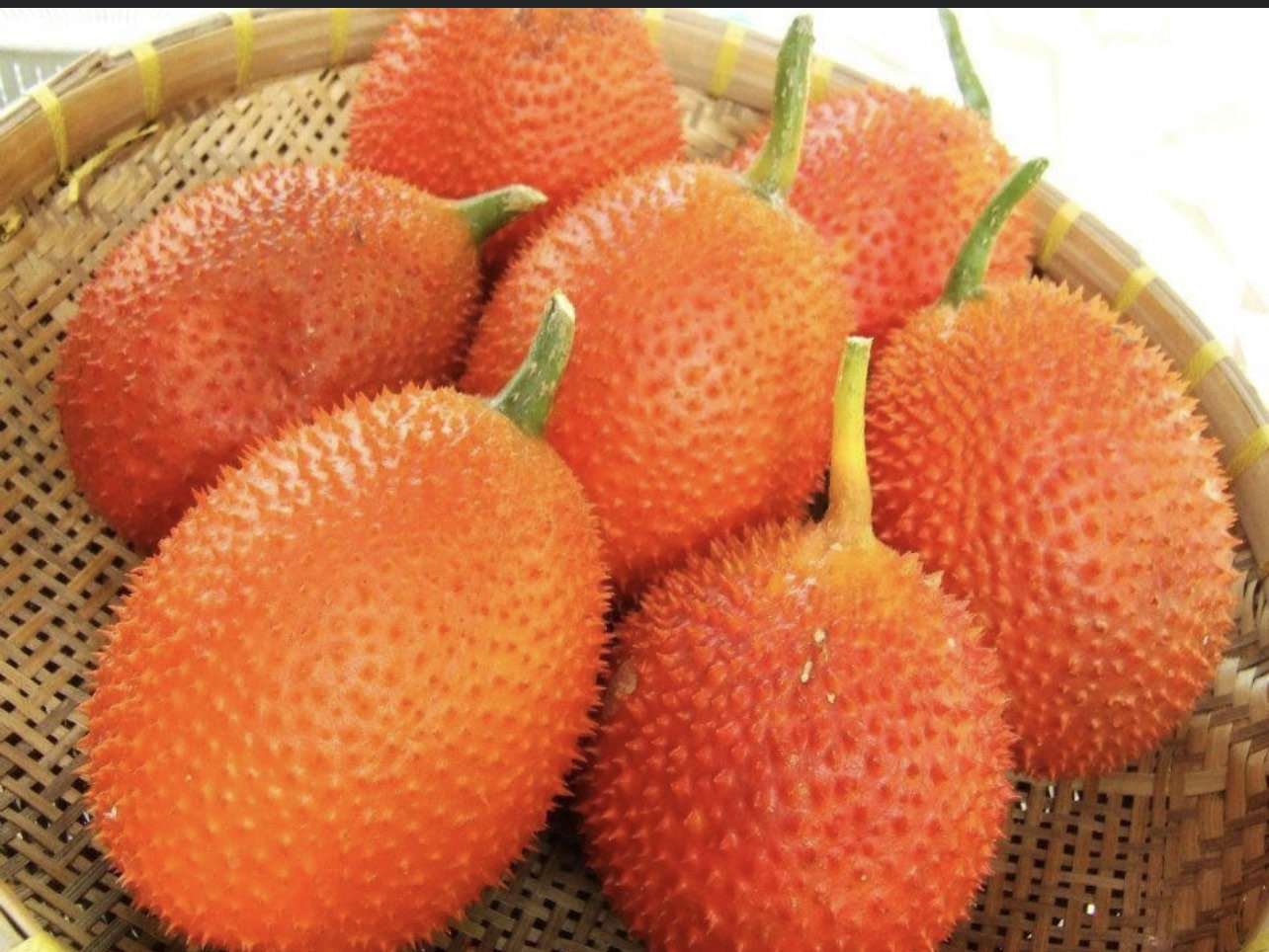 Gac fruit seeds. Gac Melon Vine Momordica Cochinchinensis seeds