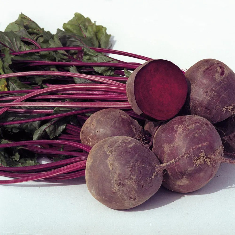 Beet Eagle F1