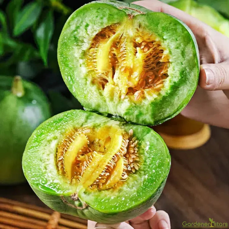 Emerald Melon Seeds