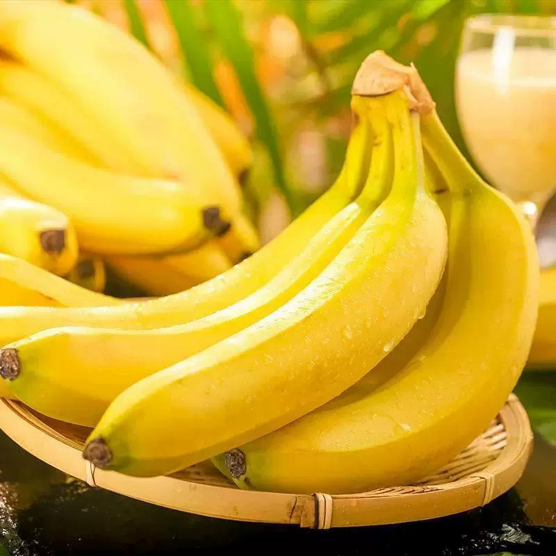 🍌Drawf Banana Seeds