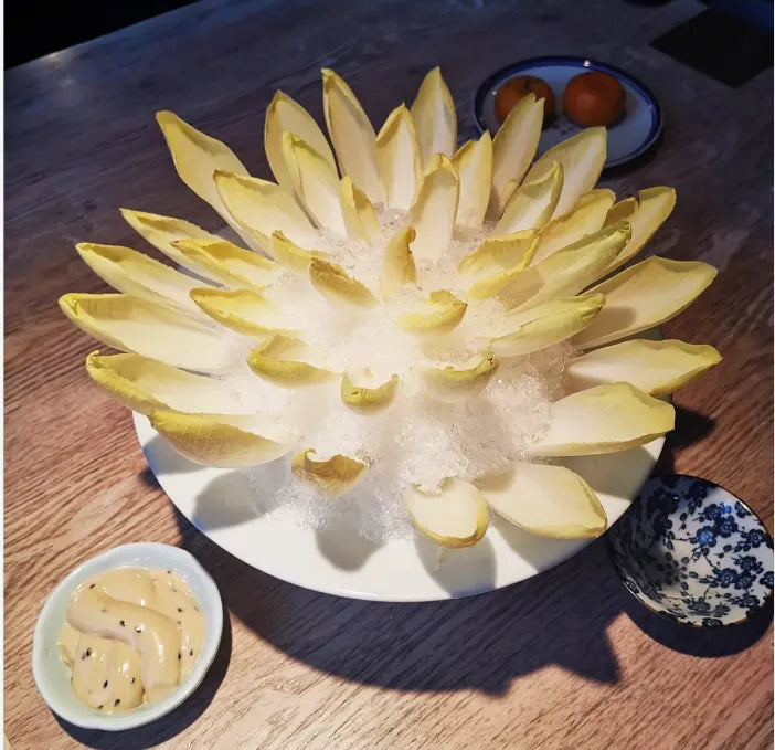 Golden Magnolia Seeds—The Prince of European Vegetables