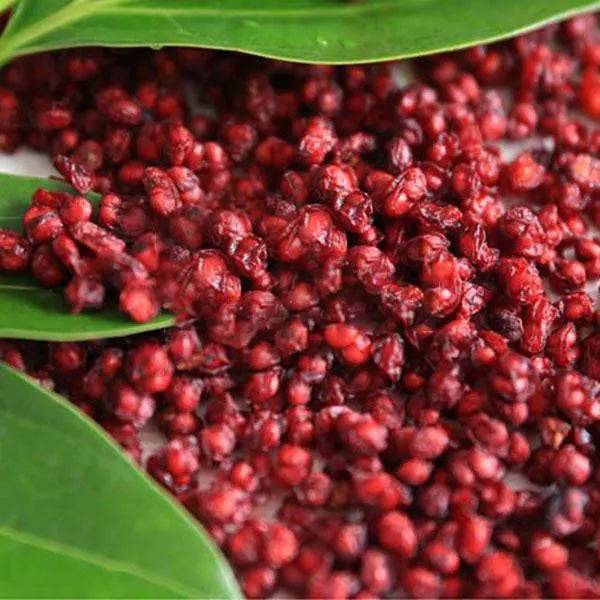 Egrow 50Pcs(100Pcs)/Pack Schisandra Seeds Chinese Magnolia Vine Edible Garden Fruit Tree Seed DIY Plants