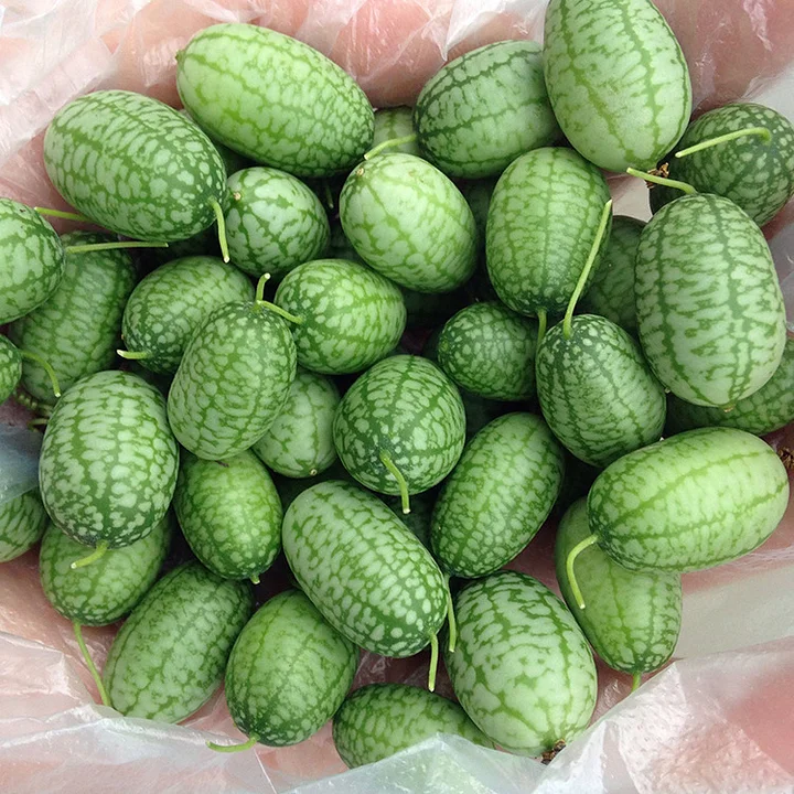 Black Diamond Watermelon Seeds