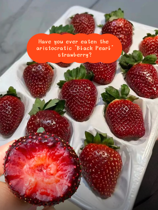🍓Black Pearl Strawberry Seeds