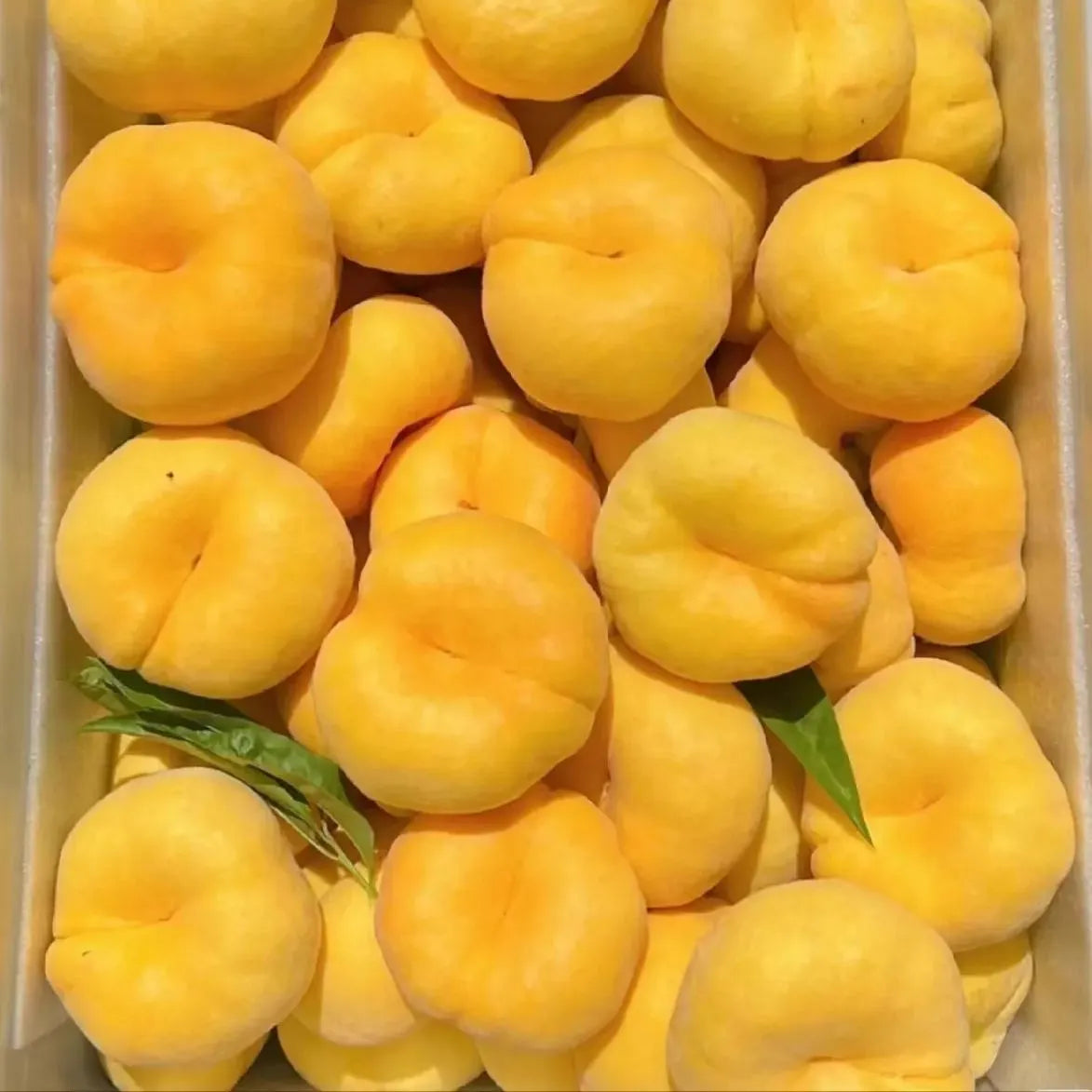 🌟Golden Legend - Golden Peach Seeds