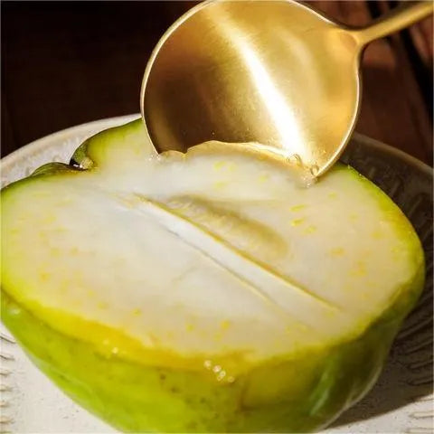 🍨 Ice Cream Fruit – White Persimmon 🍃Seeds