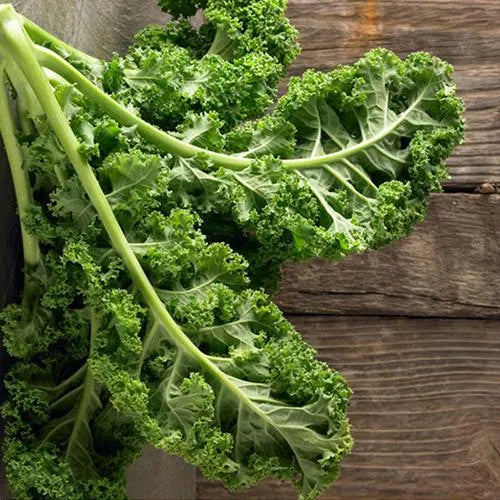 Kale Seeds