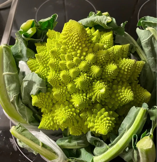 Pagoda Vegetable Seeds