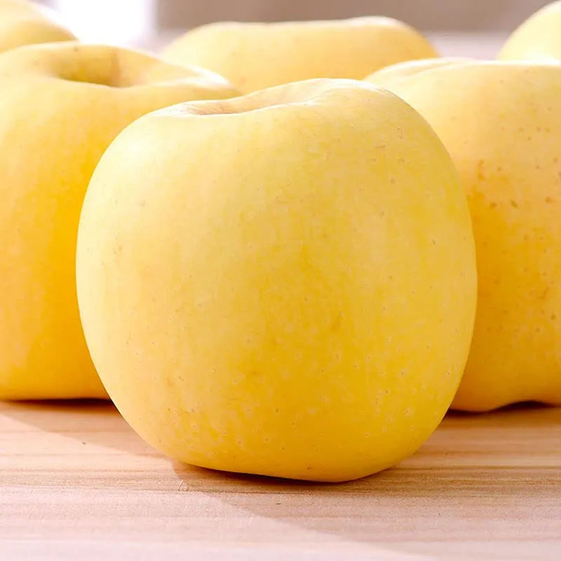 Golden Apple Seeds